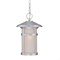 Homeroots 13 x 8 x 8 in. Phoenix 1-Light Brushed Silver Hanging Light 397981 - alternate 3